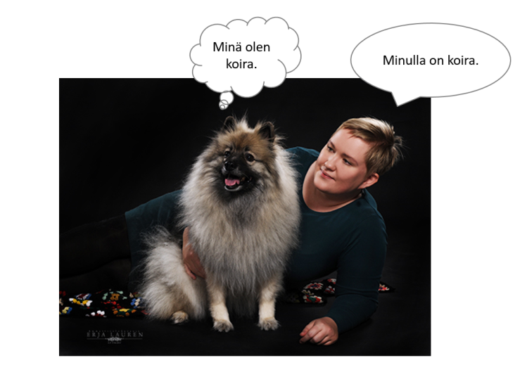 minullaonkoira